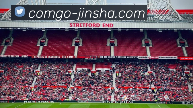 金沙国际平台生态图